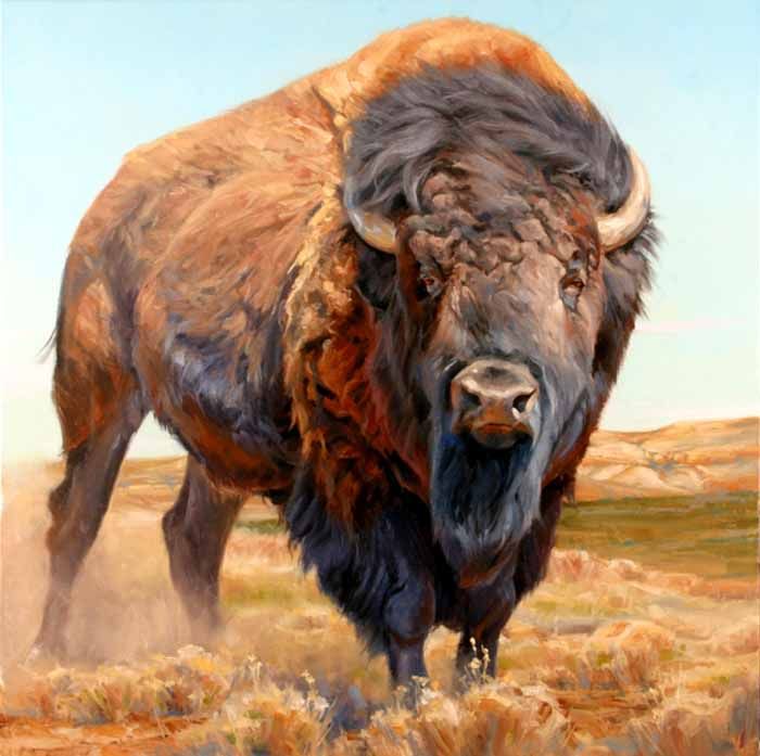 Bison